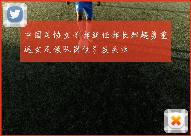 中国足协女子部新任部长郑超勇重返女足领队岗位引发关注