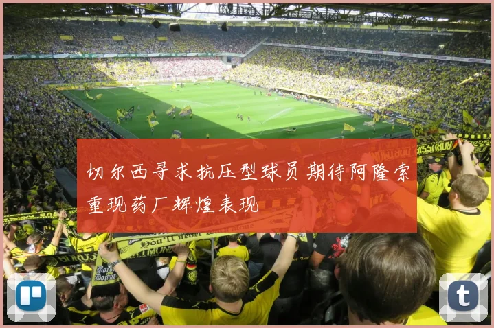 切尔西寻求抗压型球员期待阿隆索重现药厂辉煌表现
